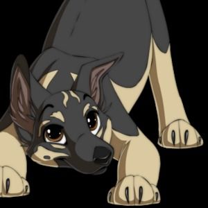 Meet your Posher, Alana